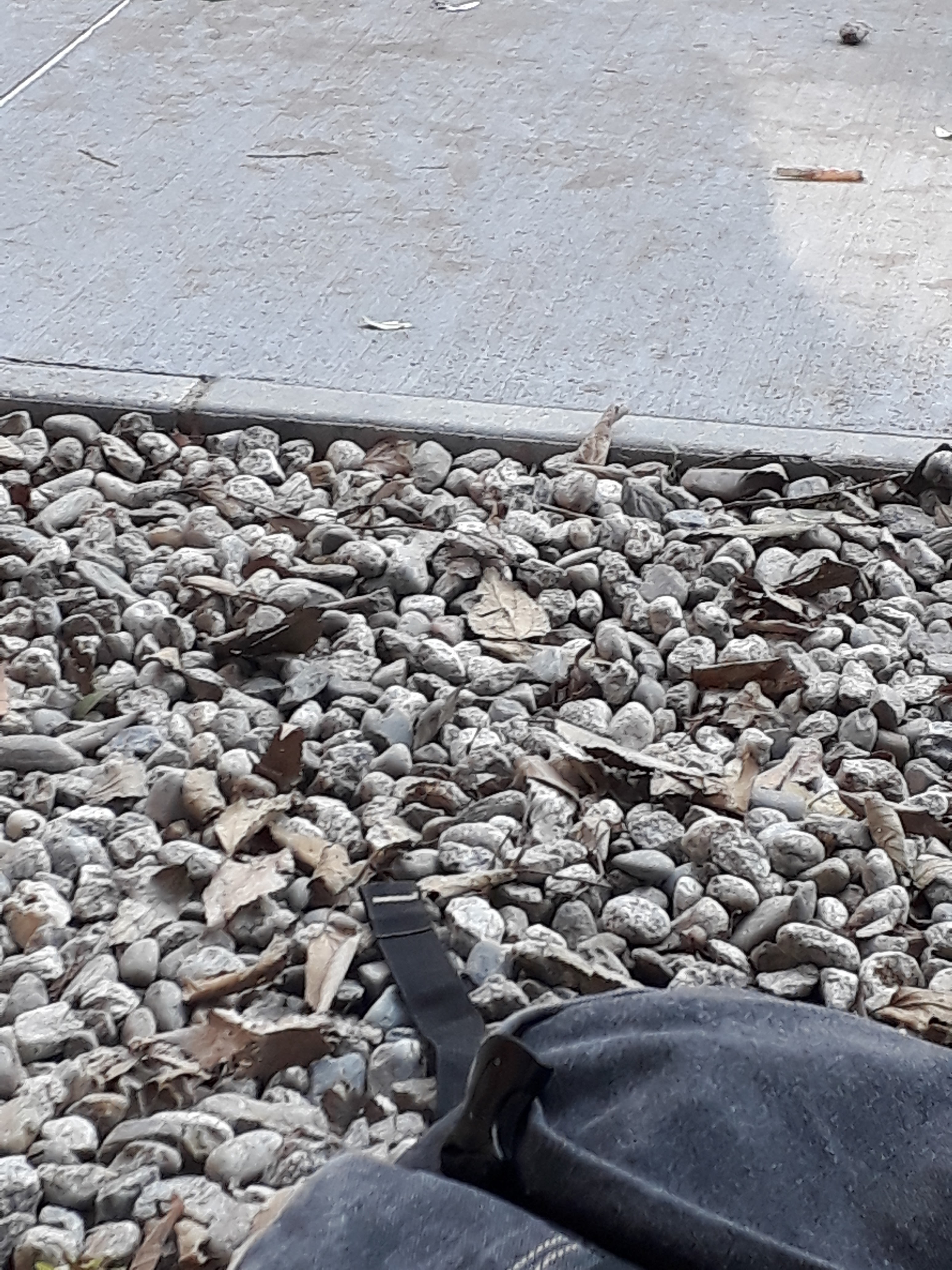 Photo n° 10 de l'avis de William.m fait le 11/12/2018 à 12:09
