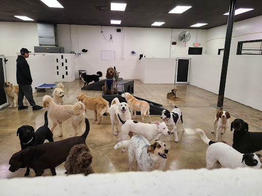 The Dog Spot (West Nashville)