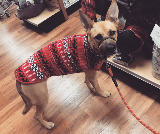 Pet Supply Store «Pet Supermarket», reviews and photos, 6325 Falls of Neuse Rd, Raleigh, NC 27615, USA