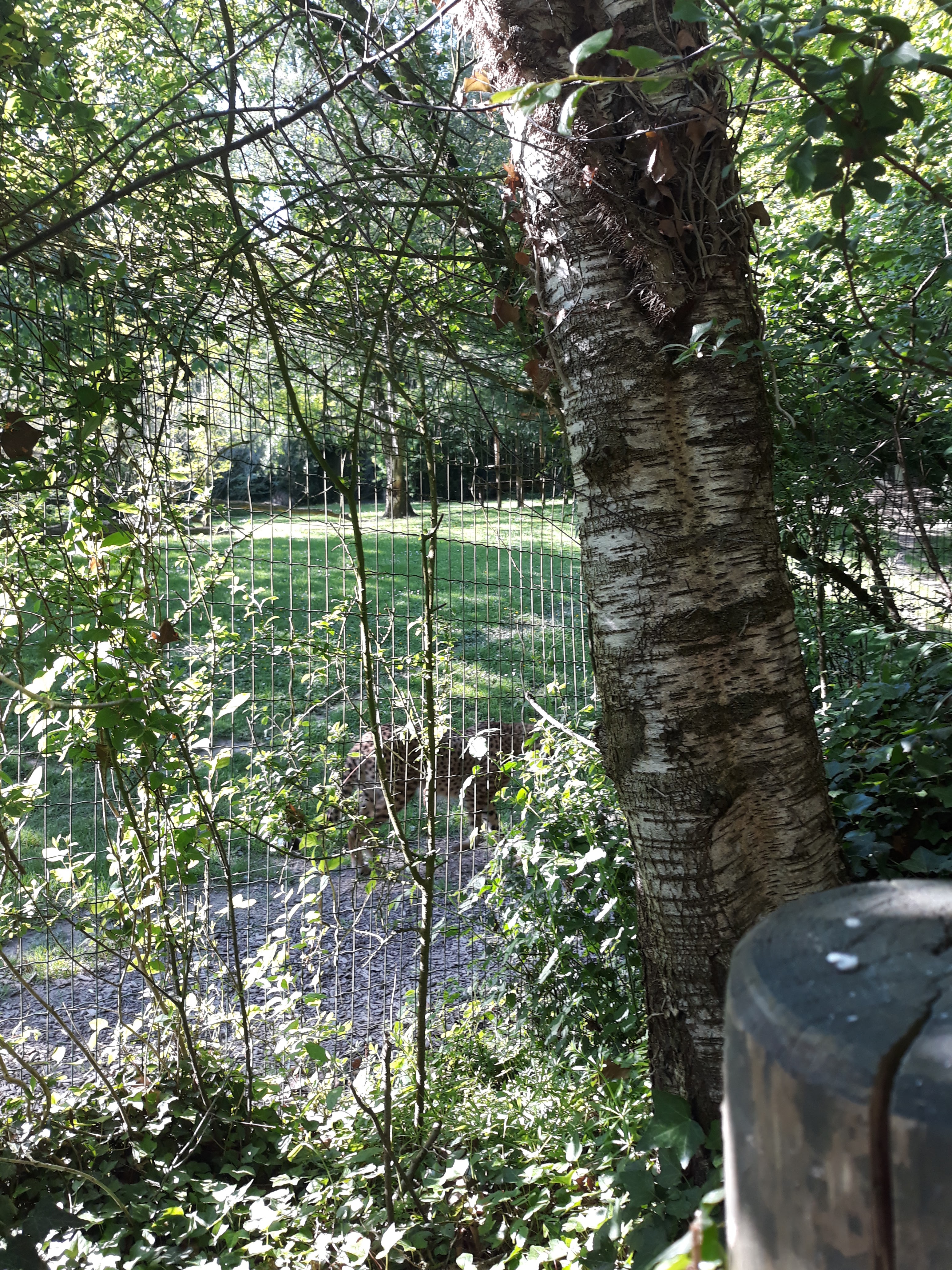 Photo n° 9 de l'avis de Aline.o fait le 23/05/2018 à 09:28