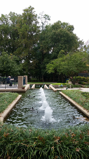 Florist «Fairview Park Florist», reviews and photos, 3141 Fairview Park Dr, Falls Church, VA 22042, USA