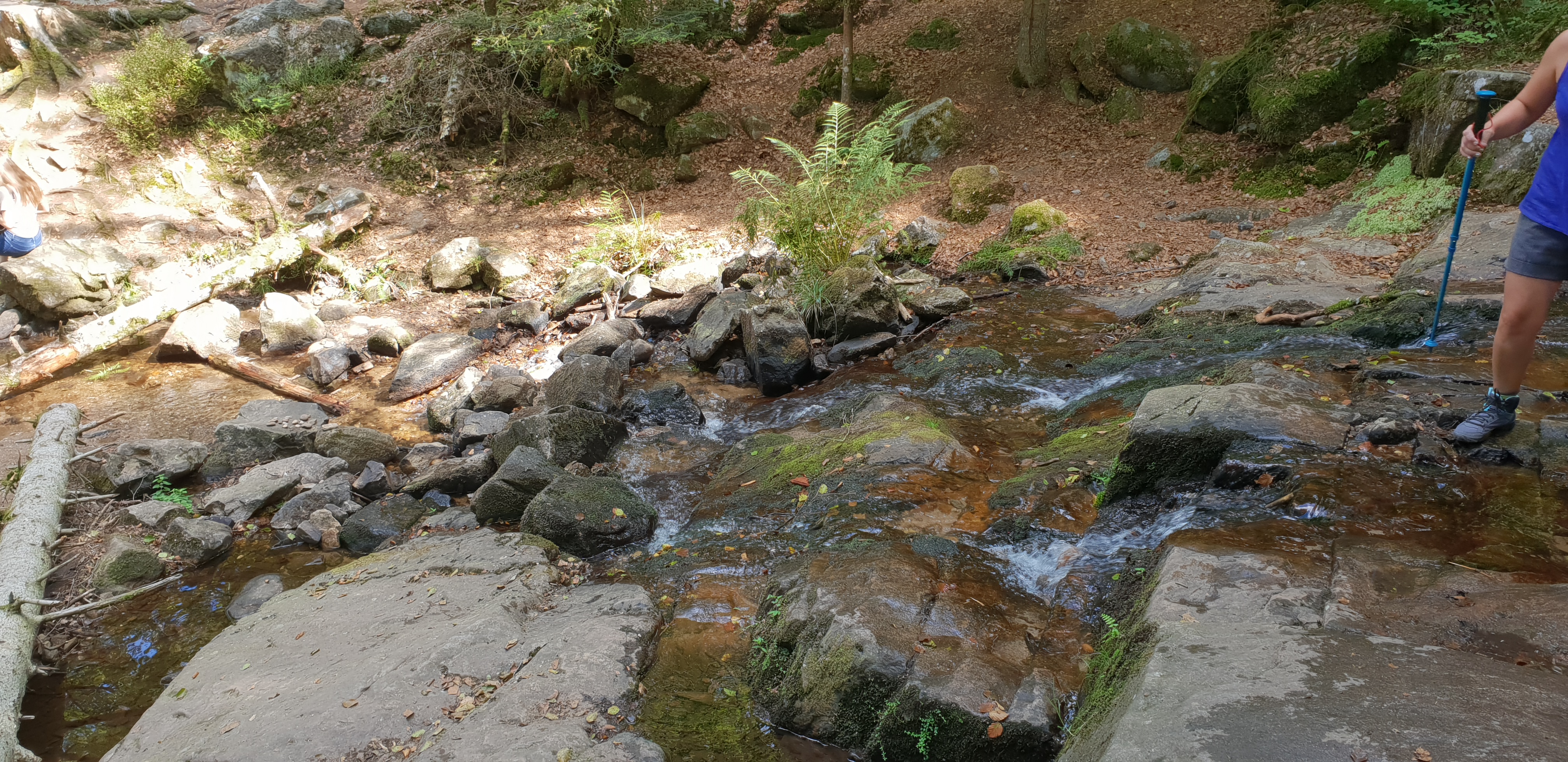 Photo n° 8 de l'avis de Rodolphe.r fait le 30/08/2018 à 07:26
