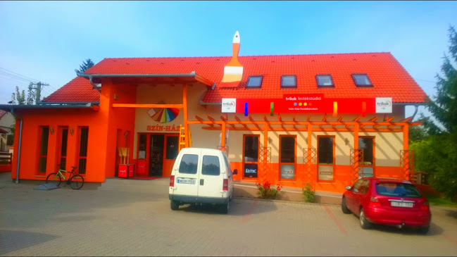 Opinii despre Szín-Ház Festékáruház în Tamási - Festékbolt