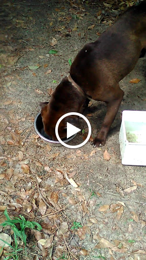 Discount Store «Dollar General», reviews and photos, 1001 Baytree Rd, Valdosta, GA 31602, USA