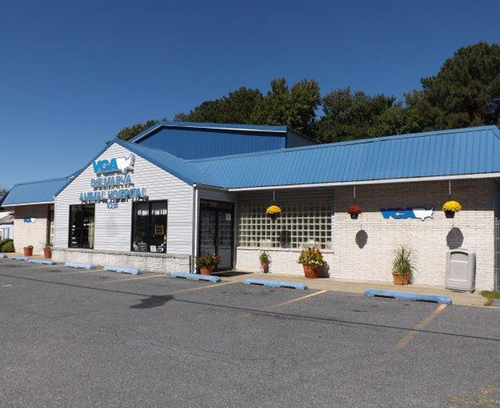 VCA Delmarva Animal Hospital