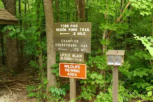 Todd Fink Heron Pond Trail image