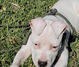 Secundario Céntrika Crisoles Park photo