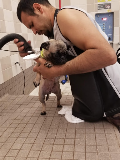 Pet Supply Store «Pet Food Express», reviews and photos, 4220 Long Beach Blvd, Long Beach, CA 90807, USA