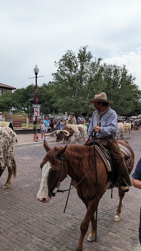 Museum «Stockyards Museum», reviews and photos, 131 E Exchange Ave # 113, Fort Worth, TX 76164, USA