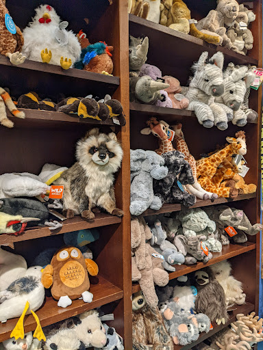 Toy Store «Terra Toys», reviews and photos, 2438 W Anderson Ln, Austin, TX 78757, USA