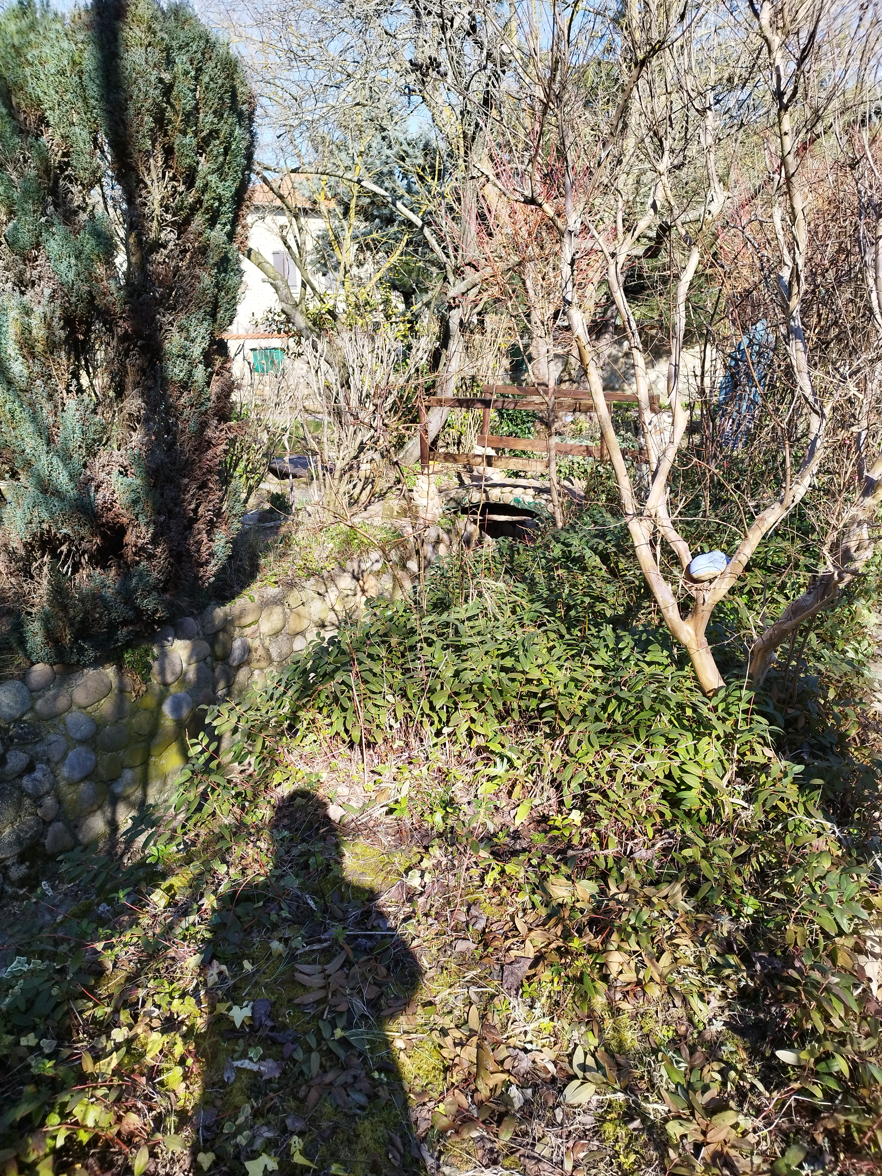 Photo n° 5 de l'avis de Gilles.a fait le 18/02/2023 à 11:25