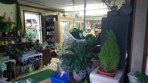 All Seasons Flowers & Gifts, 60 Brunswick Ave, Lebanon, NJ 08833, USA, 