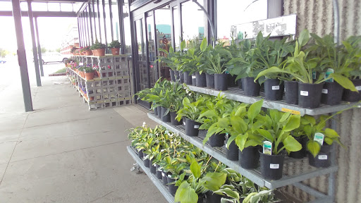 Home Improvement Store «Menards», reviews and photos, 3550 32nd Ave S, Grand Forks, ND 58201, USA