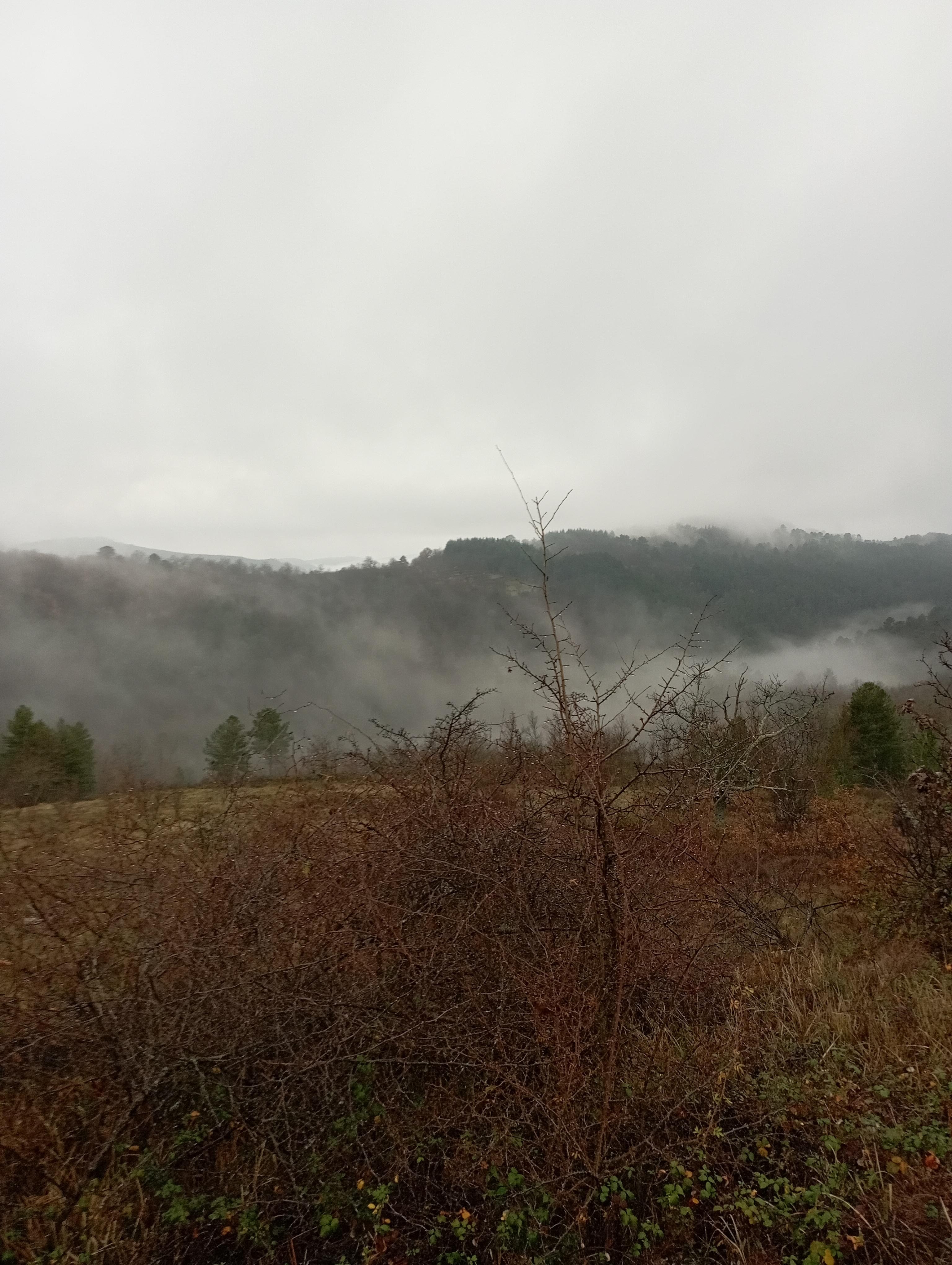 Photo n° 2 de l'avis de Christelle.a fait le 03/01/2023 à 06:32