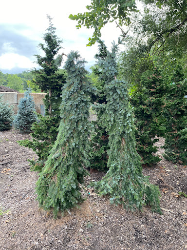 Landscaping Supply Store «Kirkwood Gardens», reviews and photos, 2701 Barrett Station Rd, Ballwin, MO 63021, USA