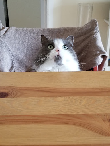 Grocery Store «Safeway», reviews and photos, 2350 Noriega St, San Francisco, CA 94122, USA