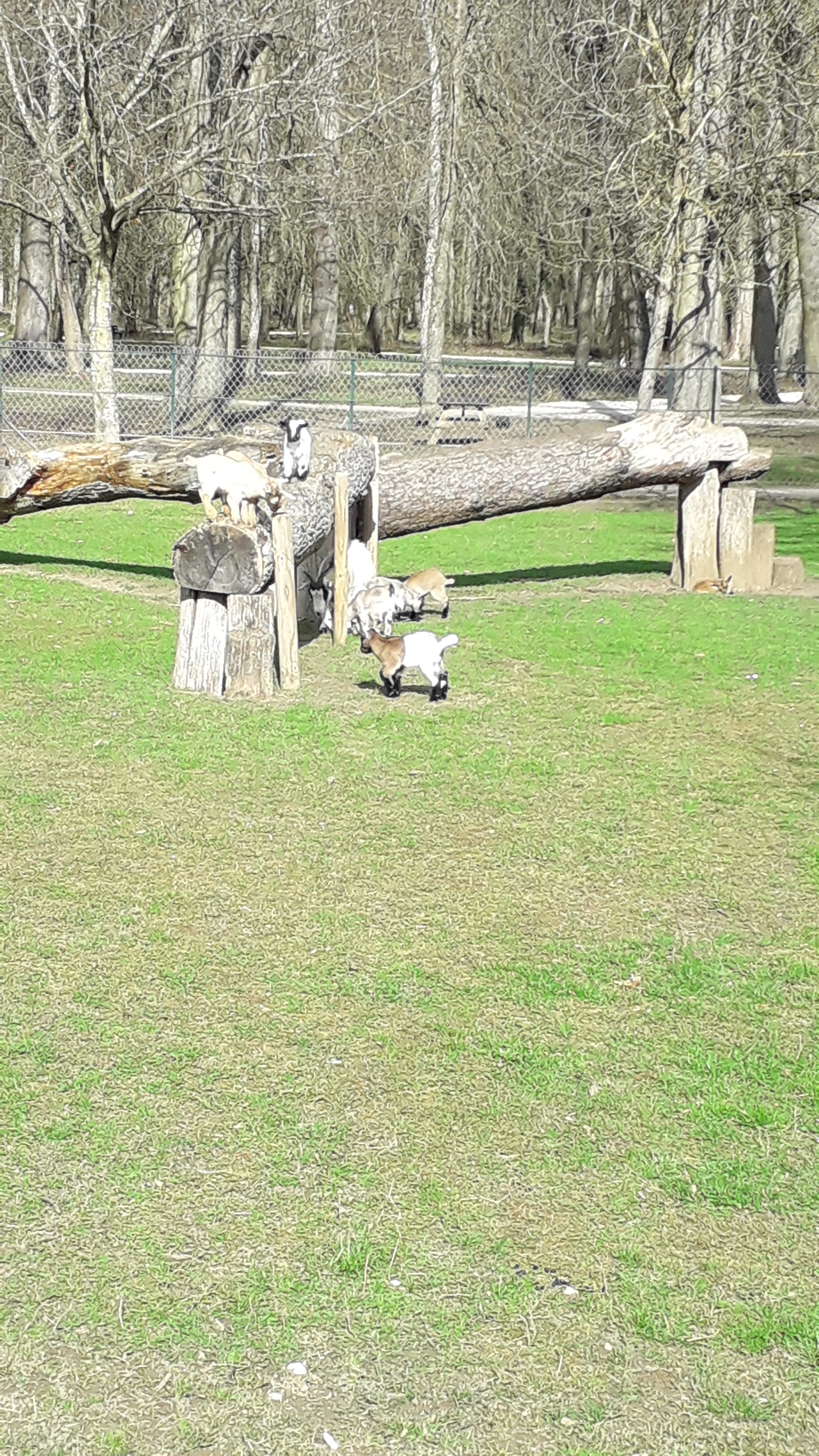 Photo n° 5 de l'avis de Annie.a fait le 10/03/2019 à 16:37