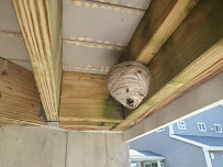 Milltown Pest Control LLC - Photo 7 - Car repair in , Manchester