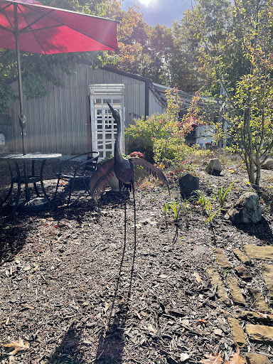 Winery «Oceana Winery & Vineyard», reviews and photos, 4980 S 52nd Ave, New Era, MI 49446, USA