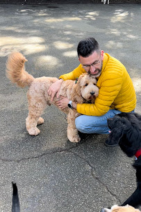 SuperDog City - Photo 8 - Car repair in , San Francisco