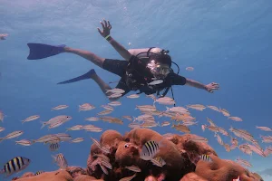 SSI CANCUN SCUBA CENTER VISION OCEANOS image