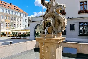 Neptune Fountain in Gliwice image