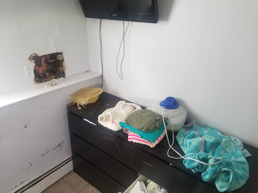 Tourist Attraction «Palisades Climb Adventure Ropes Course», reviews and photos, 4590 Palisades Center Dr, West Nyack, NY 10994, USA