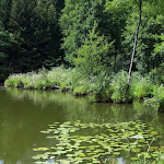 Photo n°6 de l'avis de Hildegard.e fait le 26/07/2020 à 17:45 sur le  Hotel Seehof Tauer oHG à Tittling