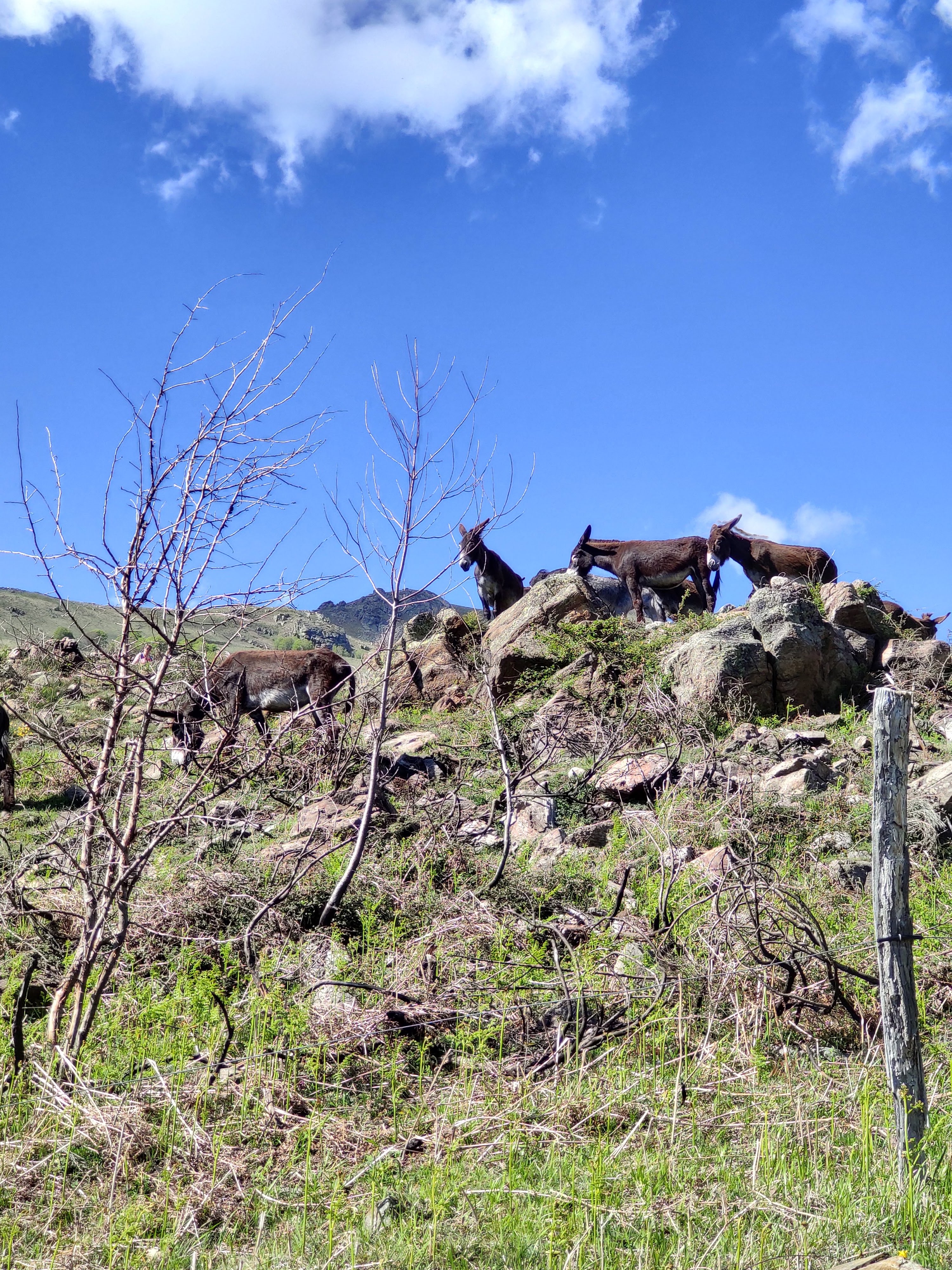 Photo n° 10 de l'avis de Florian.o fait le 04/06/2019 à 10:25