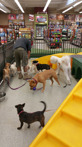 Pet Supply Store «Pet Food Express», reviews and photos, 9153 W Olympic Blvd, Beverly Hills, CA 90212, USA