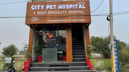 City Pet Hospital Kurukshetra
