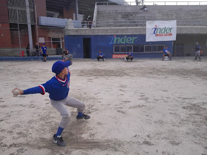 Cubs Envigado Club de Beisbol