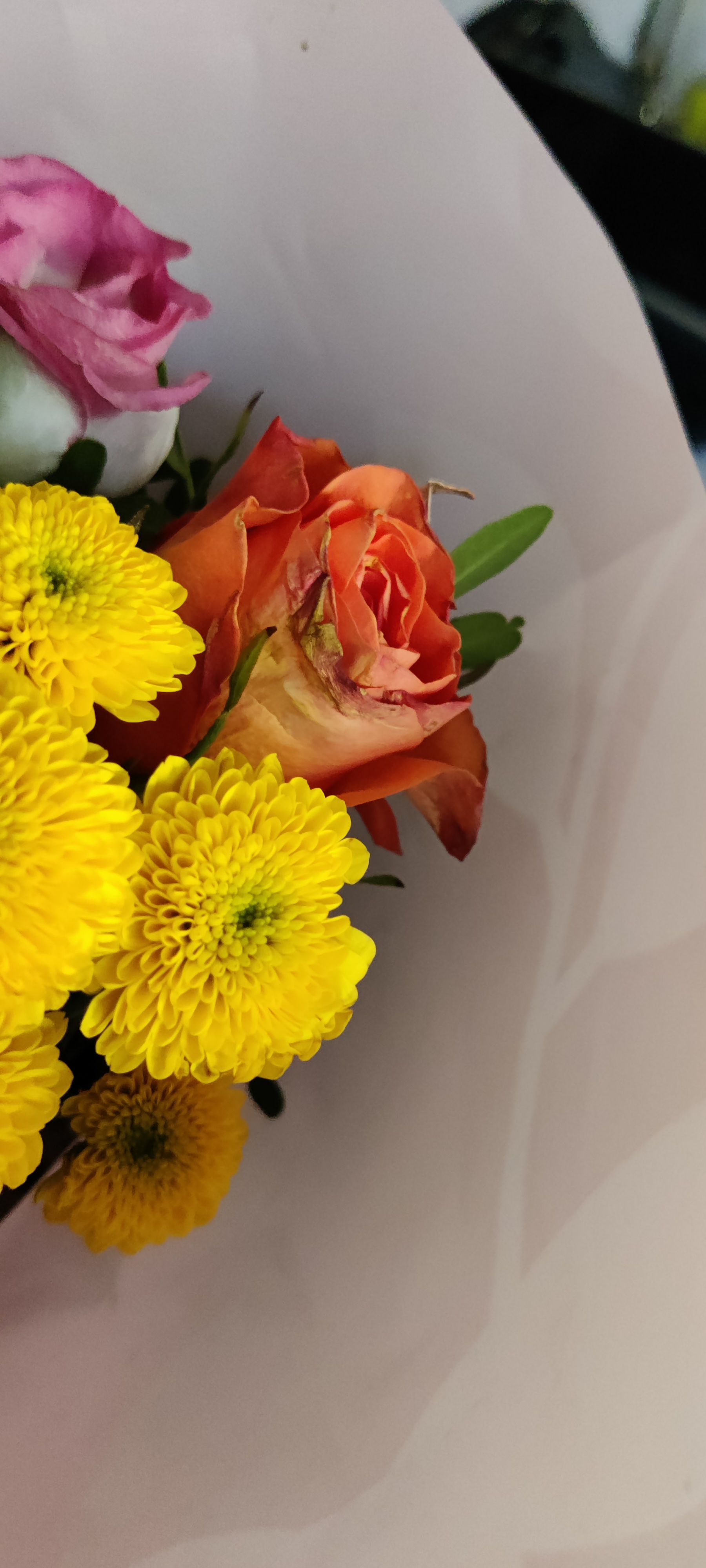 Photo n° 1 de l'avis de B..n fait le 22/08/2023 à 11:01