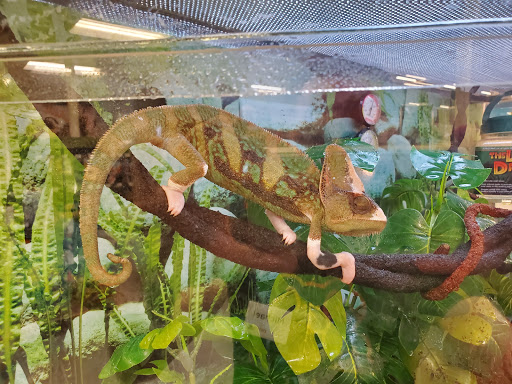 Pet Supply Store «Petco Animal Supplies», reviews and photos, 1203 SE Everett Mall Way f, Everett, WA 98208, USA