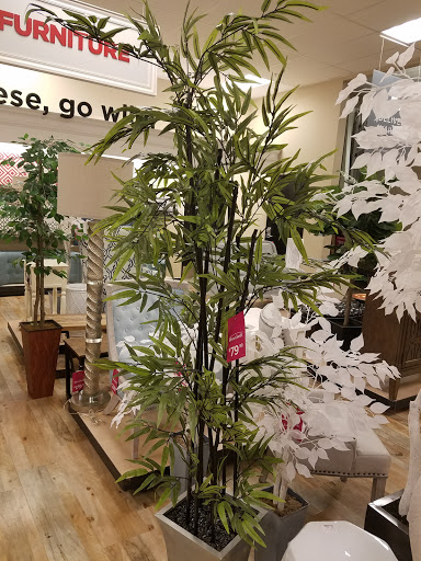 Department Store «HomeGoods», reviews and photos, 5530 Reseda Blvd, Tarzana, CA 91356, USA