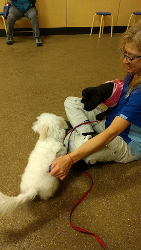 Pet Supply Store «PetSmart», reviews and photos, 1921 Gulf Fwy S, Dickinson, TX 77539, USA