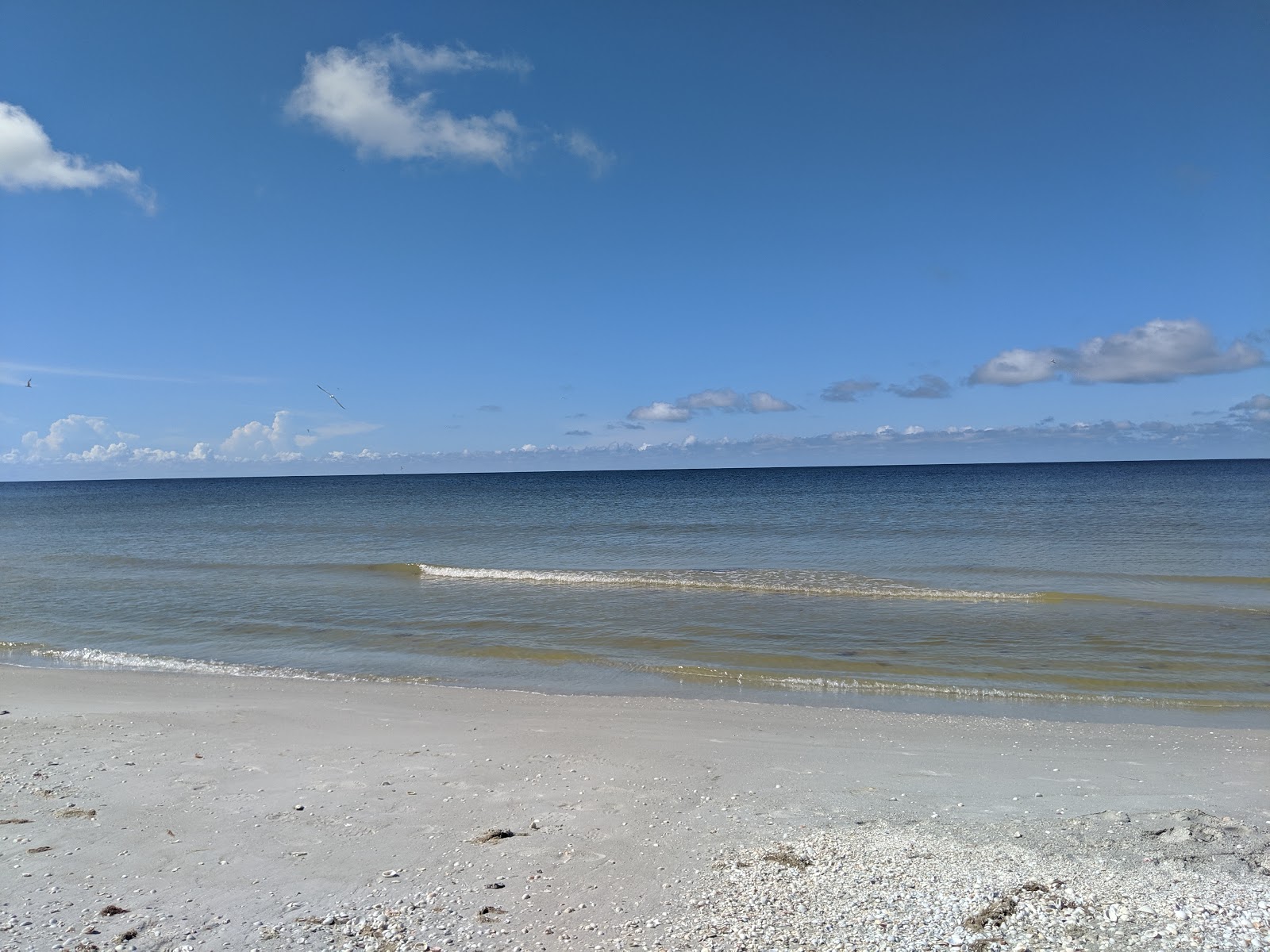 Sanibel beach'in fotoğrafı - rahatlamayı sevenler arasında popüler bir yer