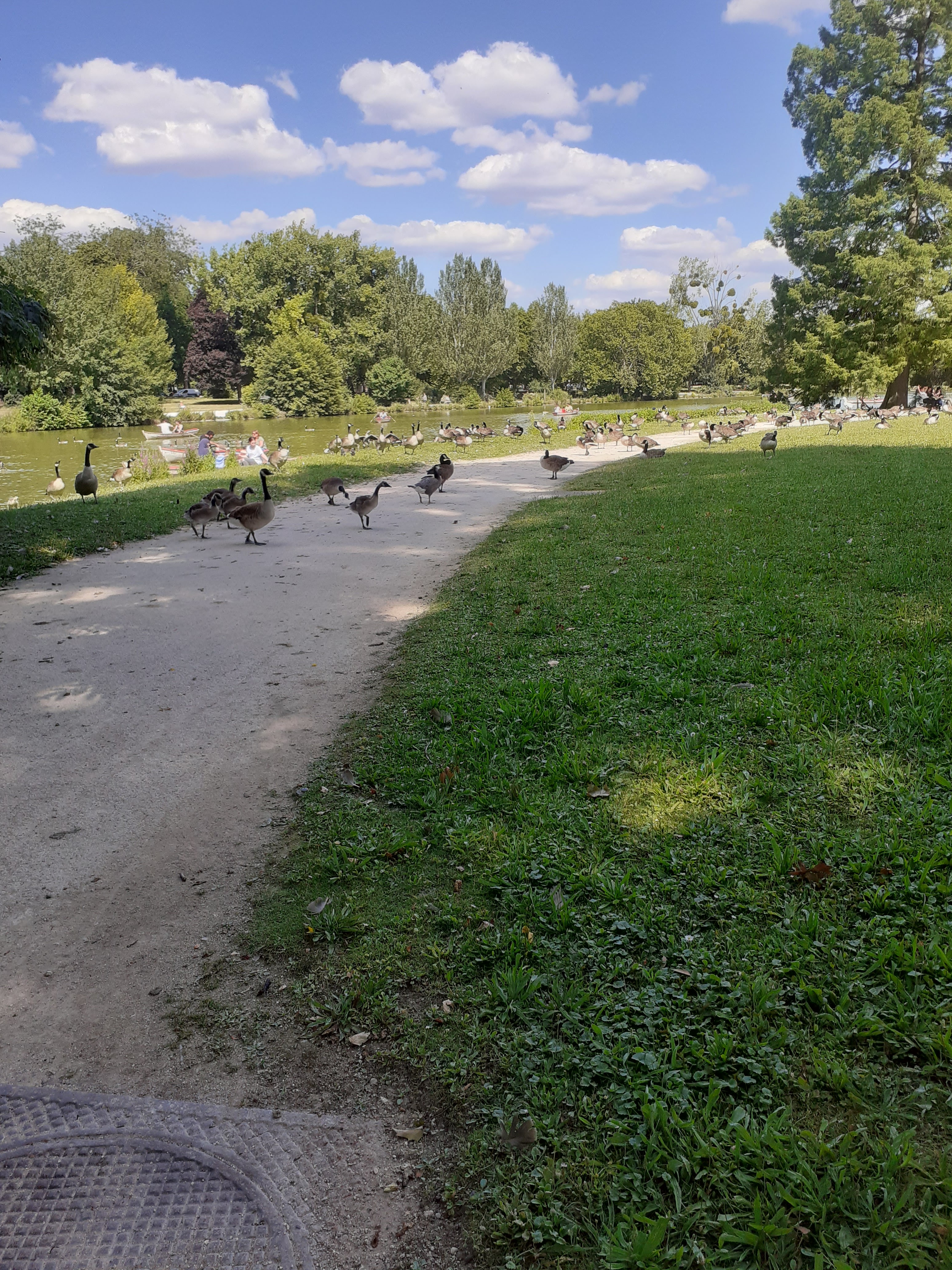 Photo n° 6 de l'avis de Noé.g fait le 01/12/2022 à 16:45