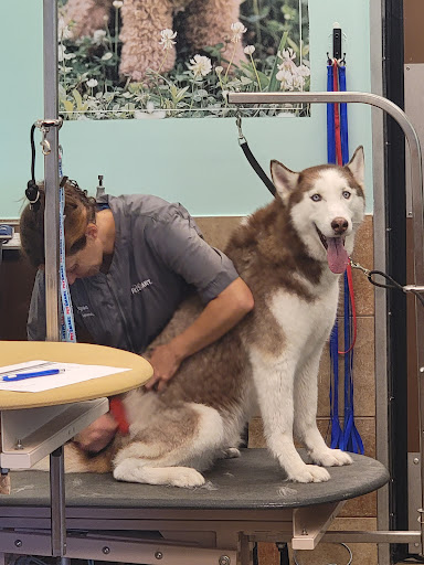 Pet Supply Store «PetSmart», reviews and photos, 262 Pooler Pkwy, Pooler, GA 31322, USA