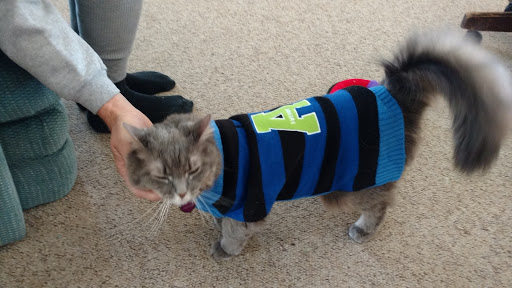 Thrift Store «The Salvation Army Family Store & Donation Center», reviews and photos, 4620 SE 14th St, Des Moines, IA 50315, USA