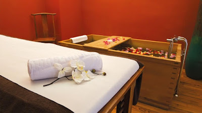 SPA Terra Nostra à Pau