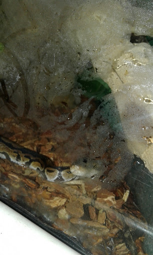 Pet Supply Store «PetSmart», reviews and photos, 28533 Marlboro Ave, Easton, MD 21601, USA