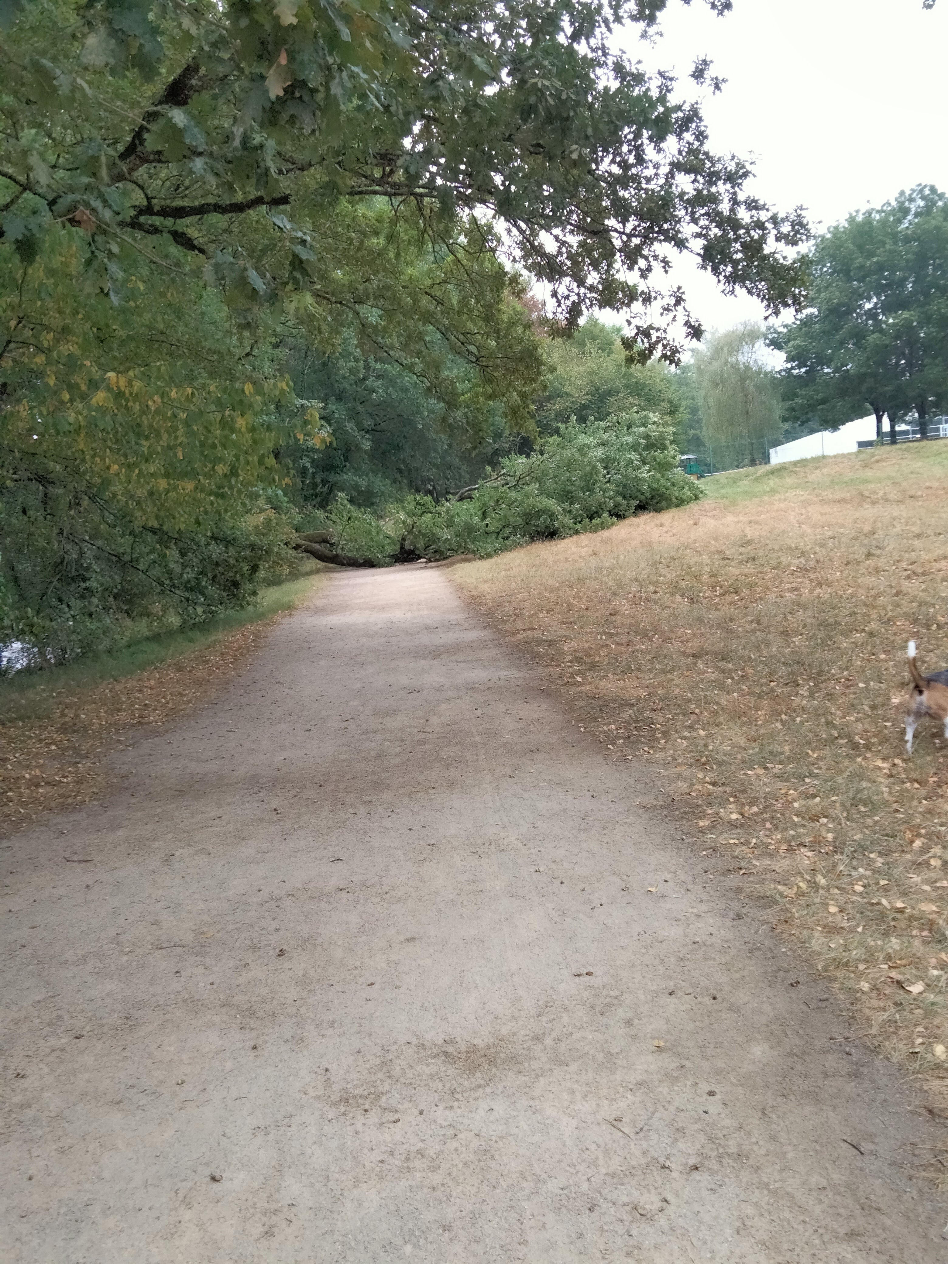 Photo n° 2 de l'avis de Nanie.a fait le 29/07/2019 à 06:31