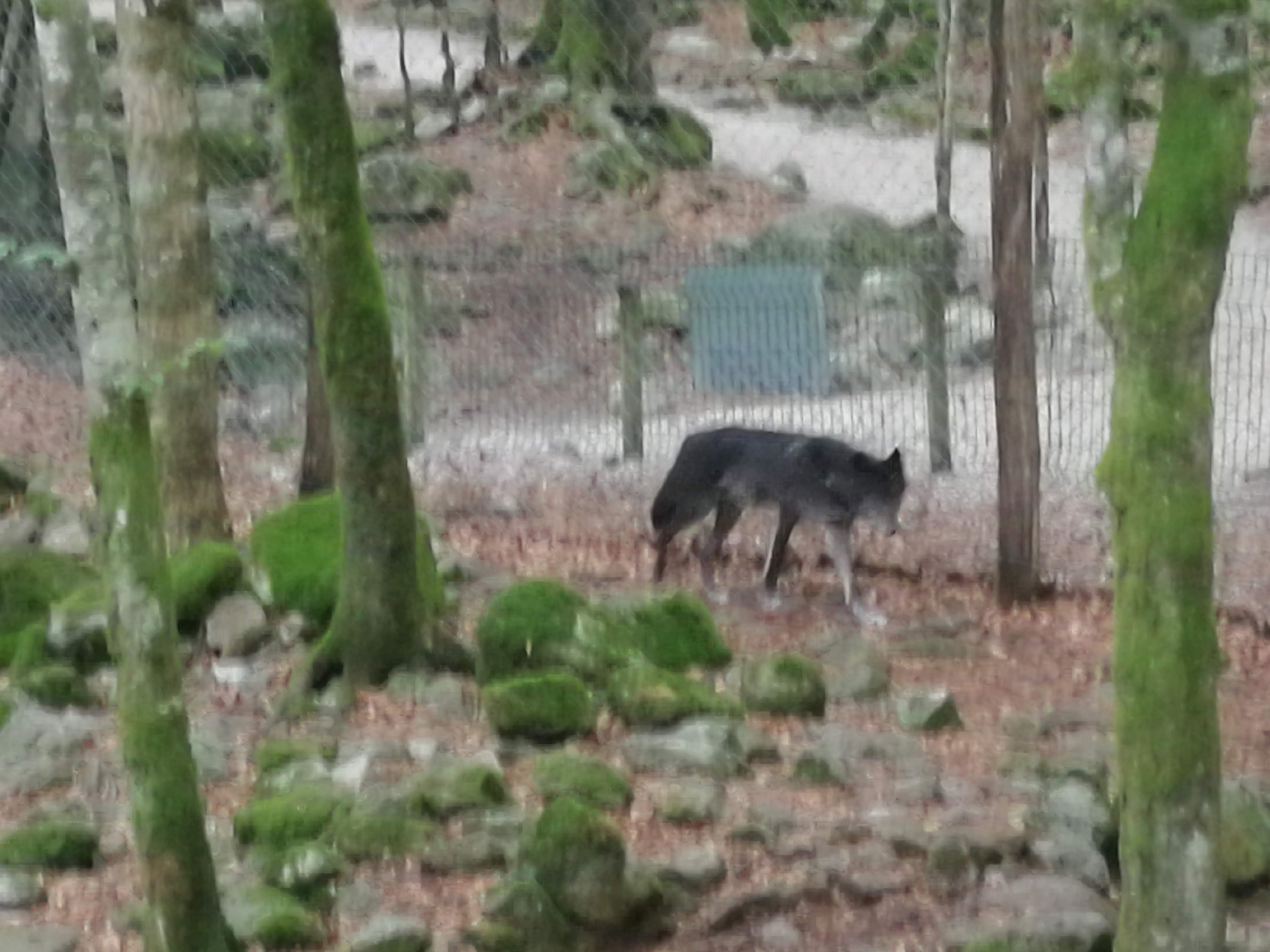 Photo n° 5 de l'avis de Fauvel.l fait le 02/09/2022 à 16:01