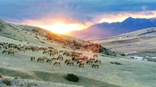 Real Estate Agency «Coldwell Banker RCI Realty», reviews and photos, 2621 W College St, Bozeman, MT 59718, USA