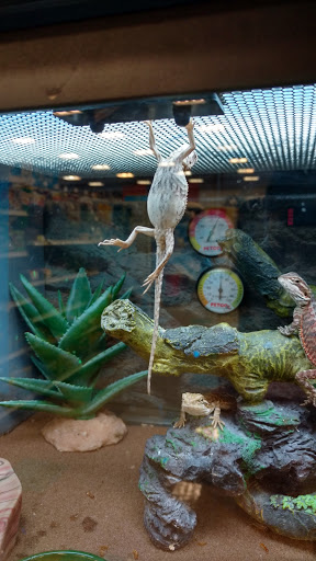 Pet Supply Store «Petco Animal Supplies», reviews and photos, 629 E Dundee Rd, Palatine, IL 60067, USA