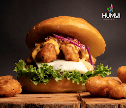 Humui Mexican Grill photo