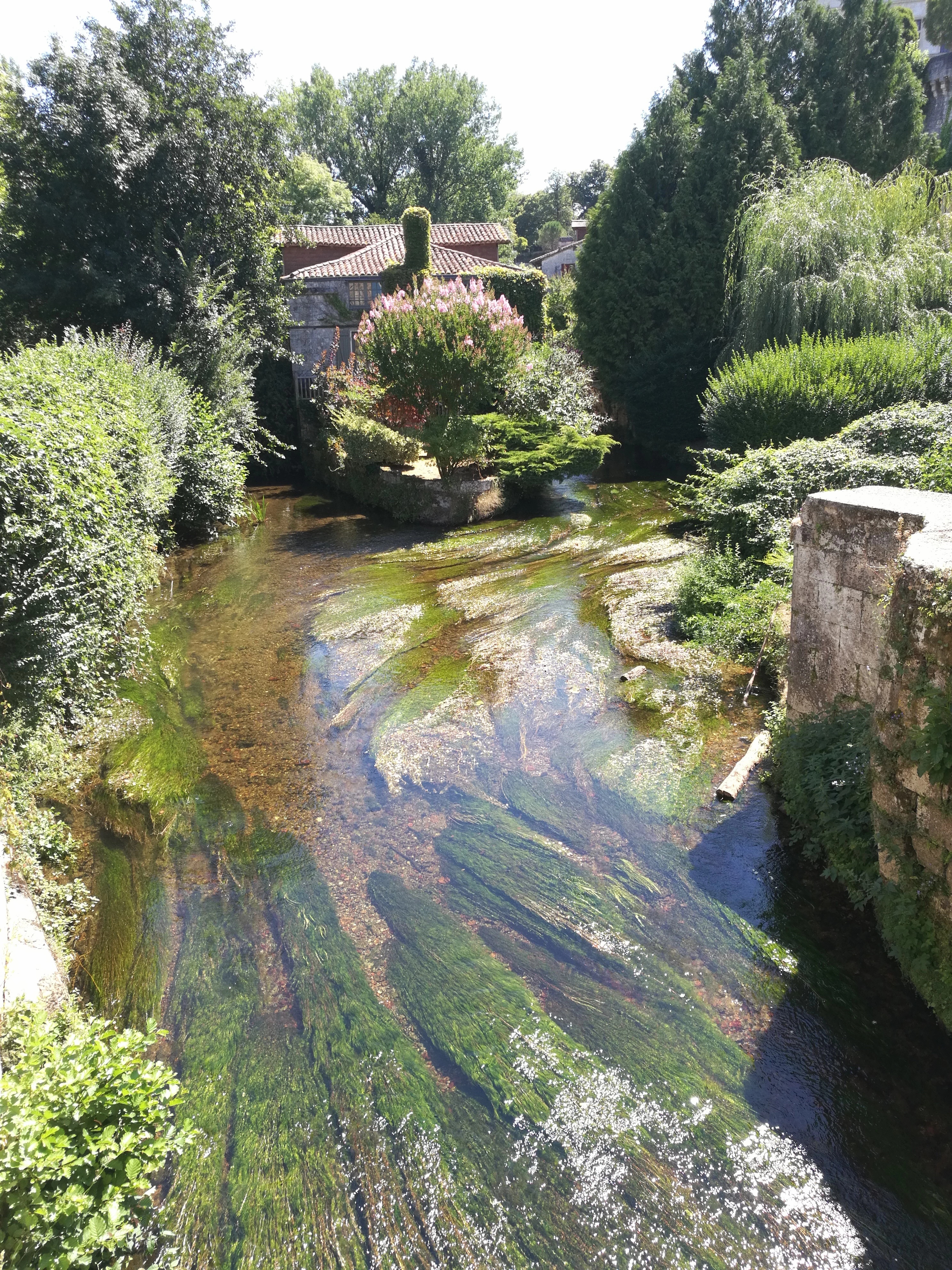 Photo n° 2 de l'avis de Dominique.A fait le 30/07/2020 à 11:52