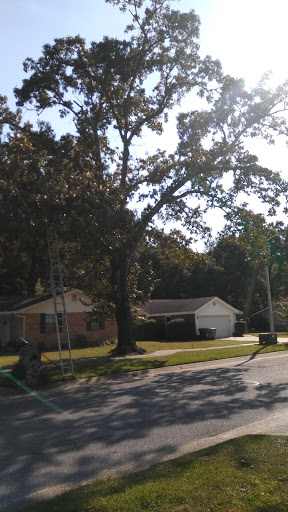 Sports Complex «DeLuna Lanes», reviews and photos, 590 E 9 Mile Rd, Pensacola, FL 32514, USA