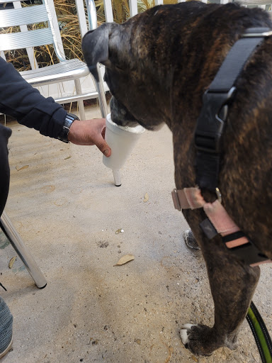 Ice Cream Shop «Bahama Bucks», reviews and photos, 5300 Lakeview Pkwy, Rowlett, TX 75088, USA